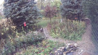 Nature Cam
