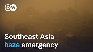YouTube video thumbnail: Why Indonesia's Forest Fires are so bad This Year