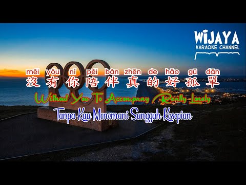 没有你陪伴真的好孤单 | Without You To Accompany Really Lonely | Tanpa Kau Menemani Sungguh Kesepian
