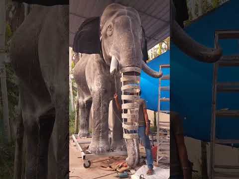 Robotic ശിവസുന്ദർ | making session | Aanamaker #roboticelephant
