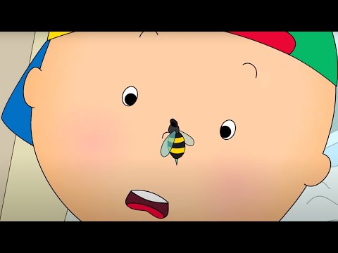 Caillou and the Wasp | Caillou Cartoon