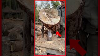 This Cone Can Split Wood Like Butter! 🤯 #youtubeshorts #woodworkingtools #yt