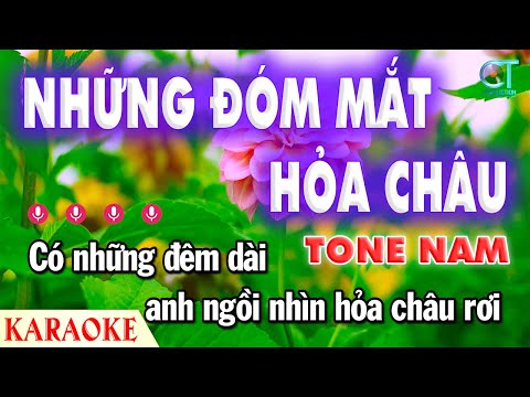 Những Đóm Mắt Hỏa Châu Trung Chỉnh Hoàng Oanh Tone Nam Nhạc Sống | Làng Hoa Karaoke