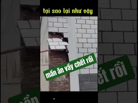không kinh nghiệm.xây dựng