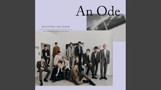 SEVENTEEN - Network Love