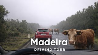 Driving in Madeira  🇵🇹 Until Cows Almost Stopped Us | Rain & Sun & Ocean
