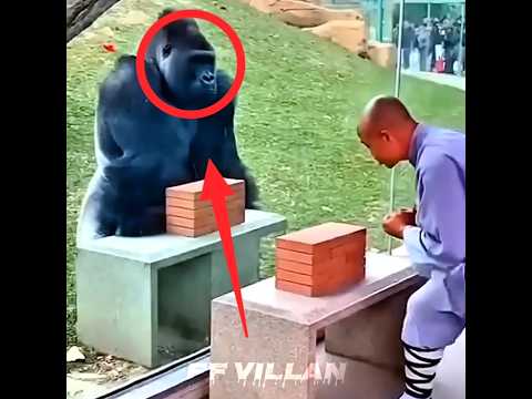 #liriklagu #songlyrics