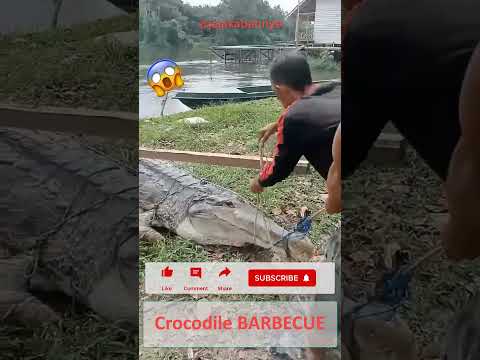 CROCODILE barbecue? #shorts #crocodile #barbecue #animals #hunt #wildlife #kesfet