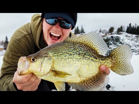 Early Ice SLAB Crappies! (and the best camera for filming fishing) - Jay Siemens