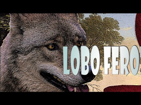 3 CUENTOS INFANTILES DEL LOBO FEROZ: Los tres cerditos, Caperucita Roja y Los Siete Cabritillos