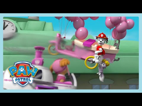 Helicopter Rescue | Paw Patrol | Wildbrain Wonder
