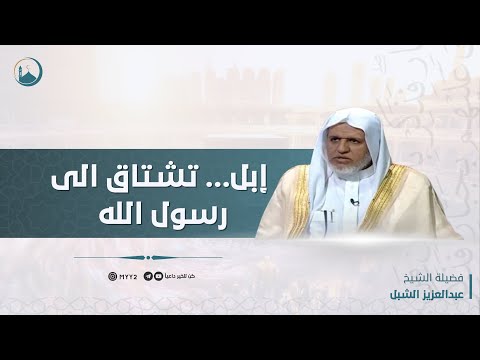 إبل تشتاق لرسول الله صلى الله عليه وسلم | الشيخ : عبدالعزيز الشبل