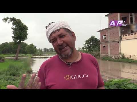 यसपालि पनि रासायनिक मल अभाव, सरकार आफैं गैरजिम्मेवार | AP REPORT | AP1 HD