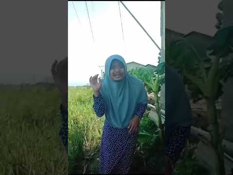 Kumpulan Video lucu Shorts Boni Saputra Terbaru Kocak Dan gokil Part 29