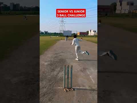 SENIOR VS JUNIOR #shortvideo#cricket#viralvideo#shorts#short#trending#challenge#ipl#youtube #ipl #yt