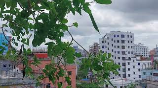 natural scenery of Bangladesh 2024