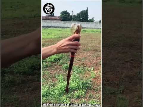 Bottle Rocket || இத கடைசி வர பாருங்க 😲#shorts