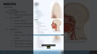 NCLEX Must-Knows . . . Digestive process