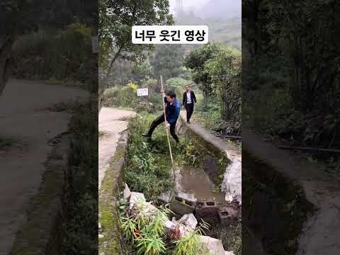 너무 웃긴 영상(funny) #웃긴영상 #웃긴짤 #웃긴 #funny #laugh