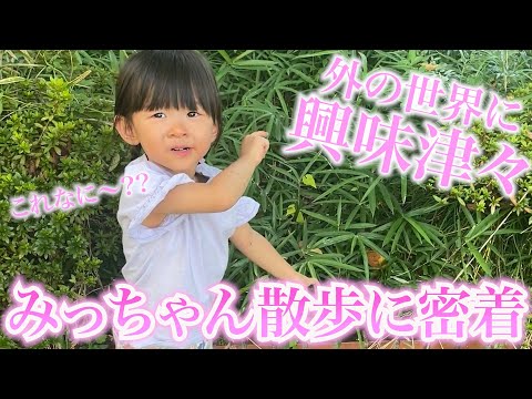 【成長記録】お喋りが止まらないとある日のみっちゃん散歩に密着!!!!