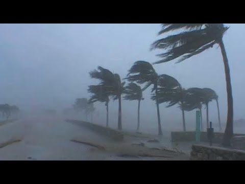 ⚡Hurricane Wilma in Florida Videos⚡Storm, Thunder & Typhoon Real Sounds to Sleep Tightly at Night⚡