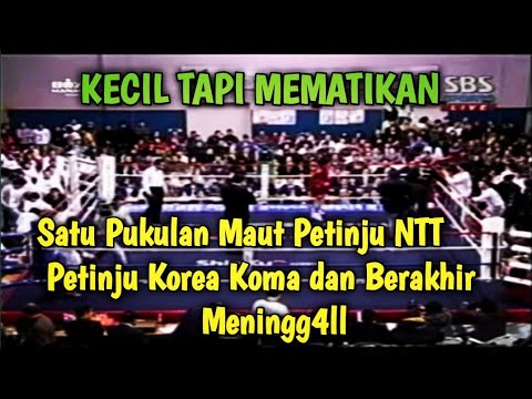 SATU PUKULAN HOOK KANAN KEJAM PETINJU NTT🥊PETINJU KOREA KOMA