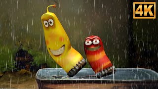 Dancing In The Rain - Larva Episode 3, Funny Cartoon Video for Kids