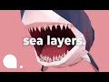 Ocean Zones and Oceanography Quiz