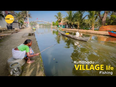 കൈ ചൂണ്ടയിൽ ചട്ടി നിറയെ മീൻ പിടിച്ചു I Kuttanadu Village Fishing #fishing