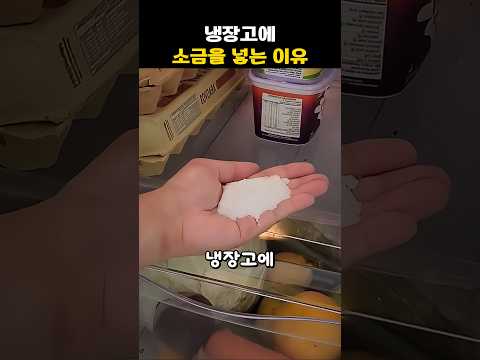 냉장고에 소금을 넣는 이유
