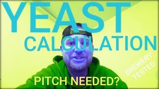 BREWING EQUATION! How Much Yeast?? YEAST PITCH MICROBREWERY!