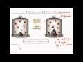Equilibrium Expressions and Constants