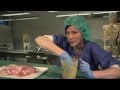 Forståelse av Magesekken og Magesaft