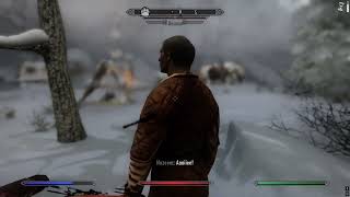 Day 1745 - Killing Nazeem Every Day Until Elder Scrolls 6 is Released