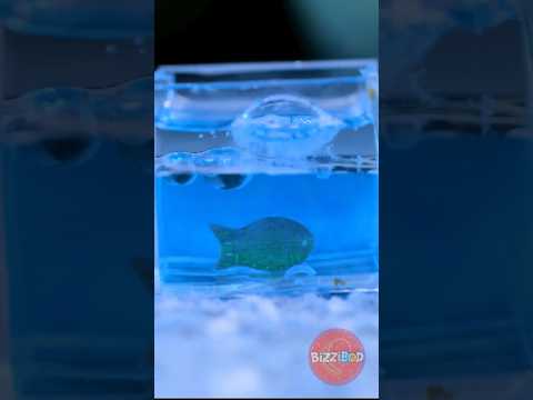 Tiniest Aquarium In The World?😱 *We Made It Using Nano Tape*