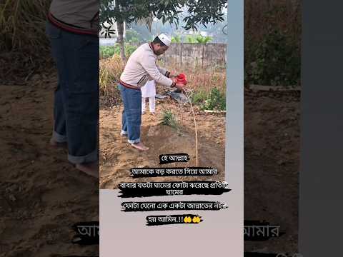 হে আল্লাহ আমার বাবার প্রতিটি ঘামের ফোটা যেনো এক একটা জান্নাতের নহর হয় আমিন