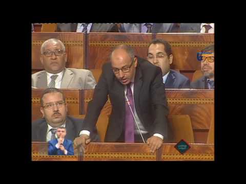 (08) بهيش، أوريش حول حول تأهيل المرشدين السياحيين غير الرسميين