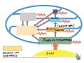 Ecosystem Energy and Matter Concepts