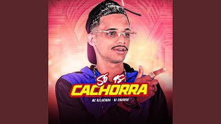 Só as Cachorra