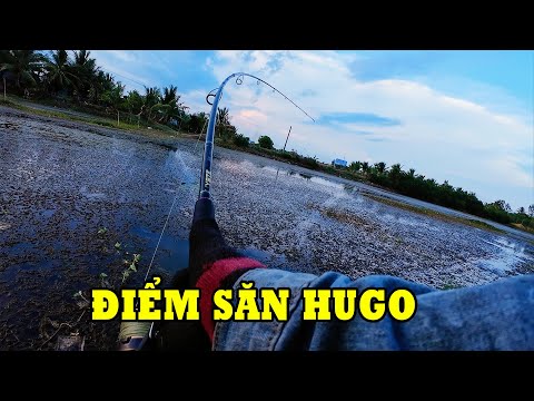 khu vực săn lóc to cho cần thủ | THÚ VUI MIỀN TÂY. 46