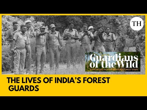 YouTube video thumbnail: India’s Unsung Forest Heroes: The Van Rakshaks Protecting Our Wild