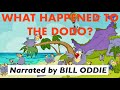 The Story of the Dodo Bird