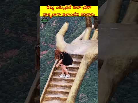 చైనా వాళ్ళ పిచ్చి మములుగా ఉండదు #telugushorts #telugufacts #teluguviral #telugu