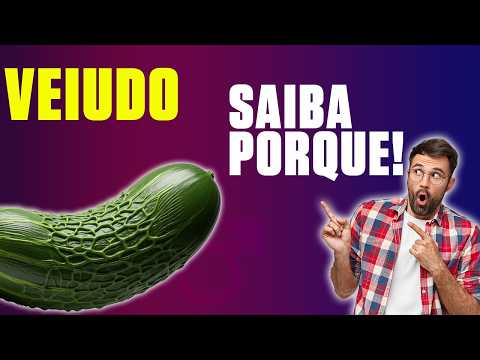 SEU PÊNIS É VEIUDO? ISSO É BOM OU RUIM?