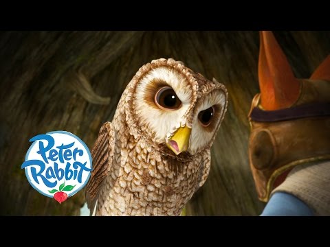 Peter Rabbit - Grumpy Owl