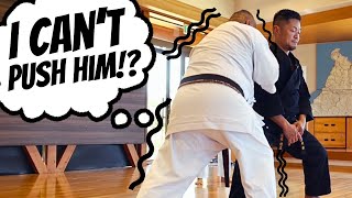 No One Can Move This Japanese Karate Master!