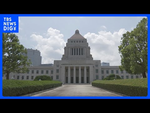 参議院選挙 20日投開票、選挙戦の最後に党首は何を訴えたか｜TBS NEWS DIG