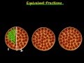 Exploring Equivalent Fractions through Real-Life Scenarios