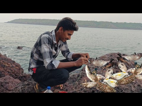 नवीन ठिकाणी गेलो मासे पकडायला , खूप दिवसांनंतर लागले गरवून मासे | Traditional fishing @TejaGurav