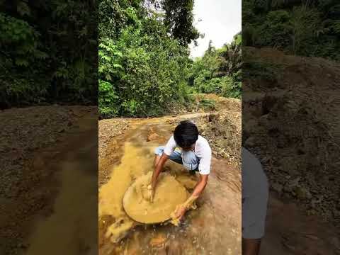 extract gold from the soil #shortsvideo